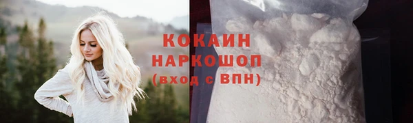винт Няндома