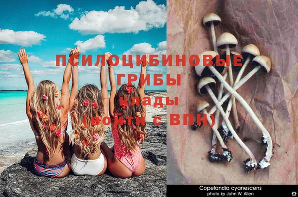 герыч Нягань