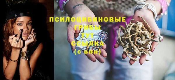 a pvp Новозыбков
