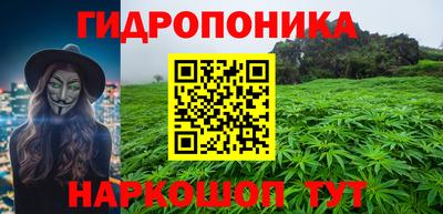 бошки Гай