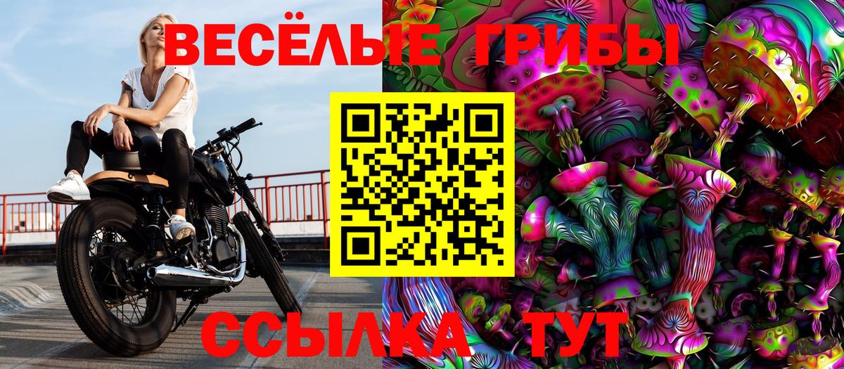 Псилоцибиновые грибы прущие грибы Алейск