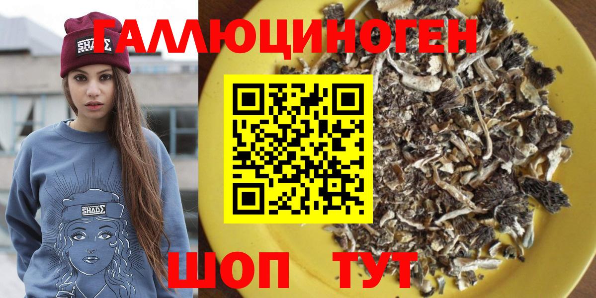 Псилоцибиновые грибы Cubensis Алейск