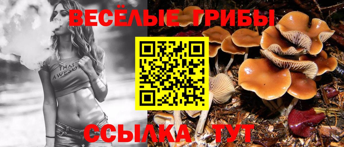 Алейск  Галлюциногенные грибы мицелий  Псилоцибиновые грибы Psilocybe  Вход с VPN 