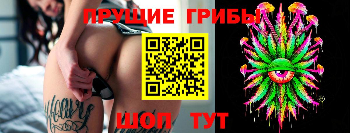 Галлюциногенные грибы GOLDEN TEACHER Алейск